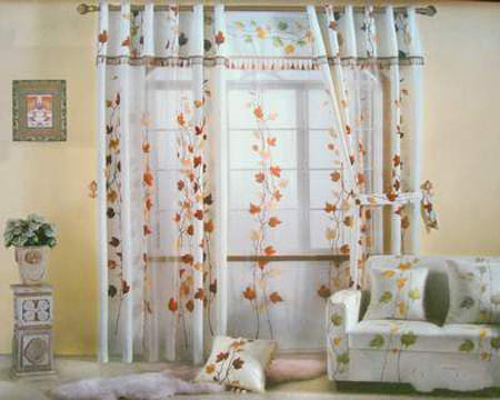 2011ļ ׌҂һȥ 
