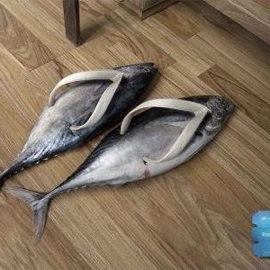 ҪŸҴNЬ