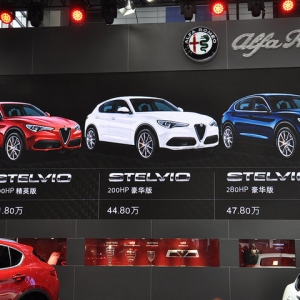 _ܚWStelvio 41.8f(wn)