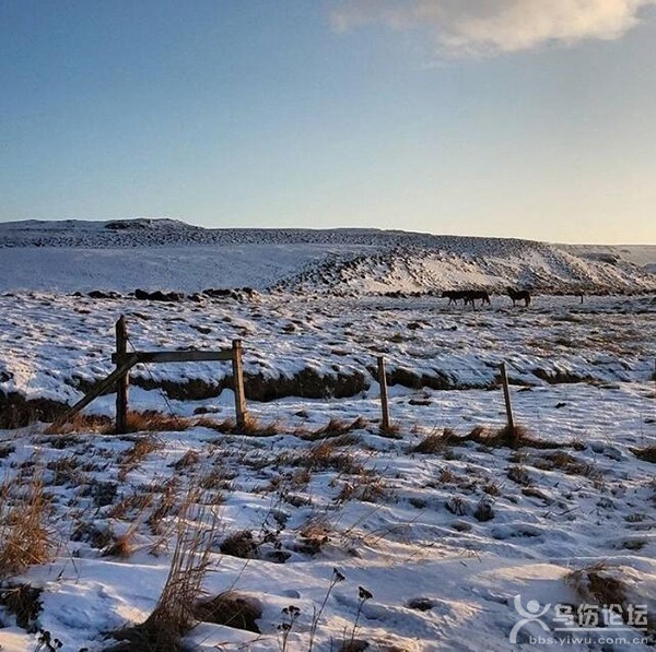 Fluðir Iceland