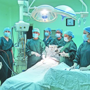 Ĵַ͓B(yng)ƌW(xu)B(yng)  t(y)ҊCt(y)I(y)l(f)չ