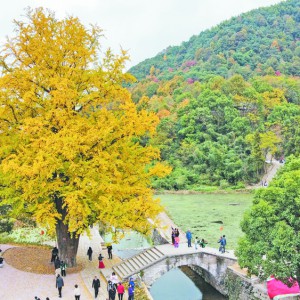 (zhn)t@u(png)㽭ʡB(ti)Ļء