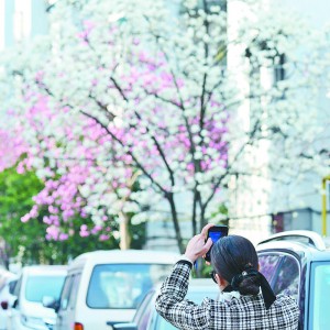 xl(xing)m̽ һһ@һǡr(sh)