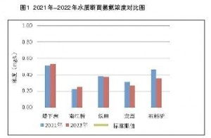 2022xB(ti)h(hun)r(bo)