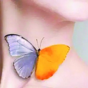 ҡаڡ  ɲSϹf(shu)аҲ(hu)